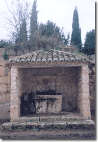 Fuente de Castrojeriz (Burgos)