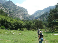 Vall de Ribes
