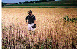 Catcher en un camp de sègol