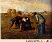 Les espigolaires. Millet