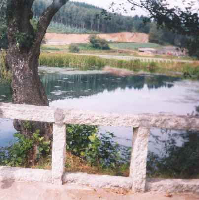 Fotografia del naixement del riu Miño